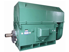 JR128-8Y系列6KV高压电机