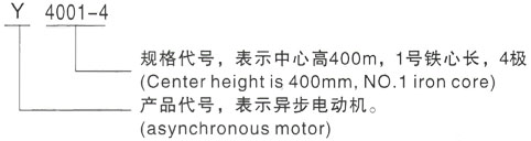 西安泰富西玛Y系列(H355-1000)高压JR128-8三相异步电机型号说明