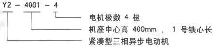 YR系列(H355-1000)高压JR128-8三相异步电机西安西玛电机型号说明